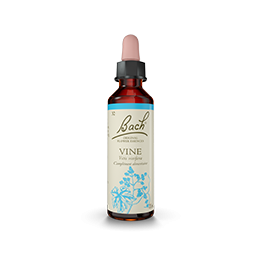 Fleurs de Bach-Vigne 20ml