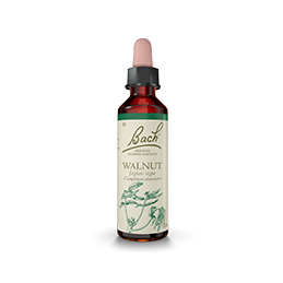 Fleurs de Bach-Noyer 20ml