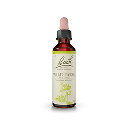 Fleurs de Bach-Églantier 20ml