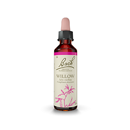 Fleurs de Bach-Saule blanc 20ml