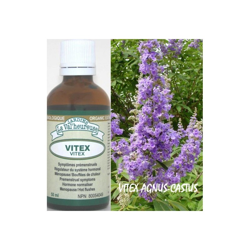 VITEX (Gattilier), Teinture bio, (Vitex agnus-castus)