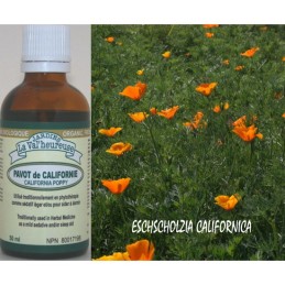 Pavot de Californie