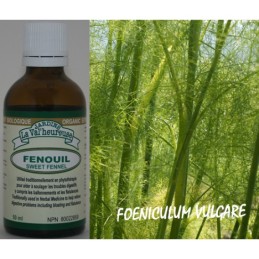 Fenouil