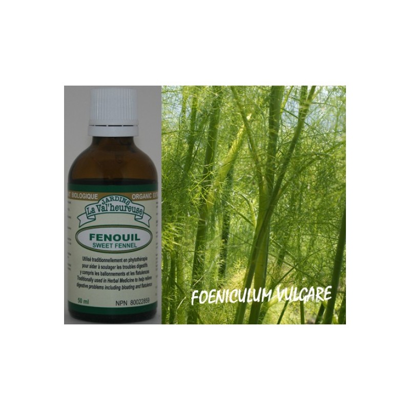 Fenouil - 50ml