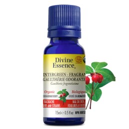 Wintergreen Fragrant Organic - 15ml
