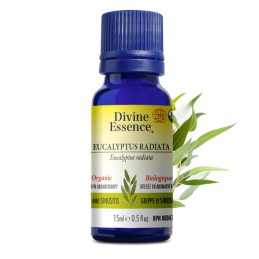 Eucalyptus Radiata Organic - 15ml