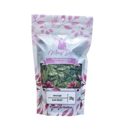 BLACK WALNUT - leaves 30g