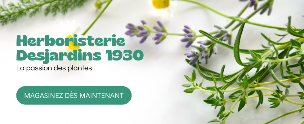 La Passion des plantes